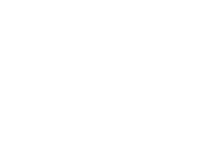 The Remodeling Company